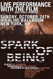 Poster do filme Spark of Being