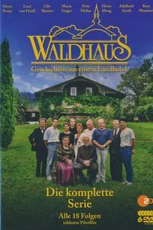 Waldhaus tv show poster