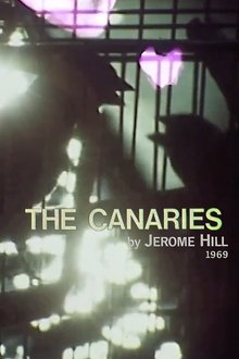 The Canaries movie poster