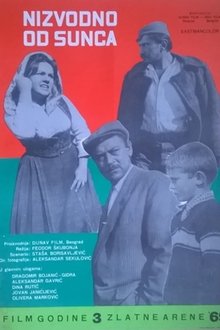 Downstream from the Sun movie poster