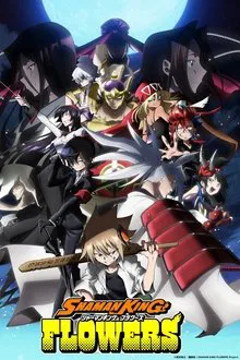SHAMAN KING FLOWERS tv show poster