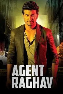Agent Raghav tv show poster