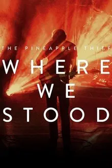 The Pineapple Thief: Where We Stood movie poster