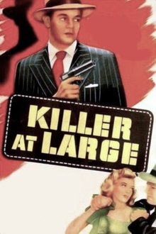 Killer at Large movie poster