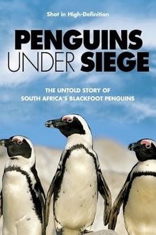 Penguins Under Siege movie poster