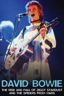David Bowie: The Rise And Fall of Ziggy Stardust and the Spiders From Mars movie poster
