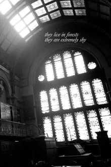 Poster do filme They Live in Forests, They Are Extremely Shy