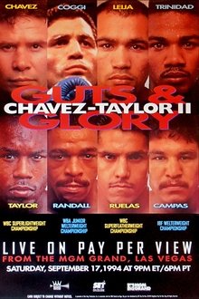 Julio César Chávez vs. Meldrick Taylor II movie poster