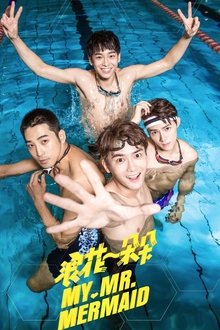 My Mr. Mermaid tv show poster