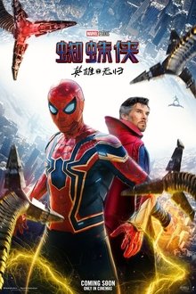 Spider-Man: No Way Home movie poster