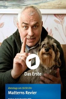 Matterns Revier tv show poster