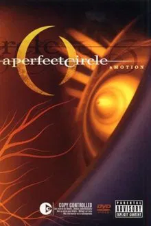 A Perfect Circle: aMOTION movie poster