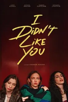 I Didn't Like You movie poster