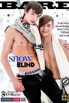 Snow Blind movie poster