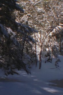 Winter Beyond Winter movie poster