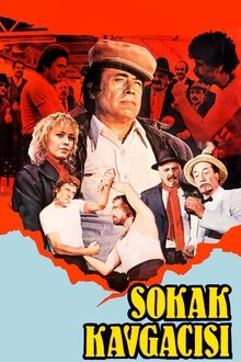 Sokak Kavgacısı movie poster