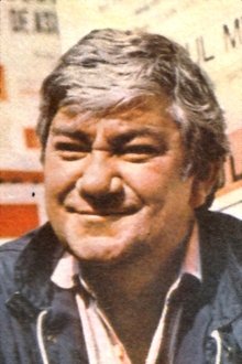 Nicolae Dinică profile picture
