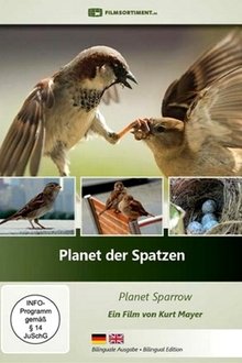 Planet der Spatzen movie poster