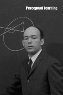 Perceptual Learning movie poster