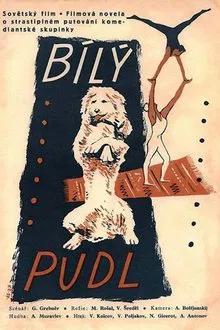 The White Poodle movie poster