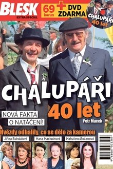 40 let s Chalupáři movie poster