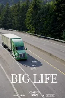 Big Life movie poster