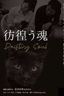 Drifting Soul movie poster