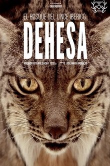Poster do filme Dehesa: The Forest of the Iberian Lynx