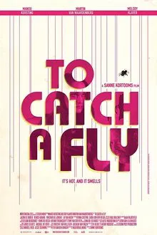 To Catch a Fly movie poster