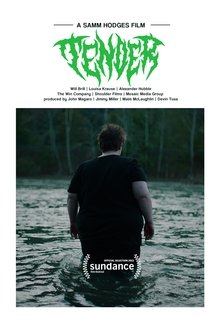 Poster do filme Tender
