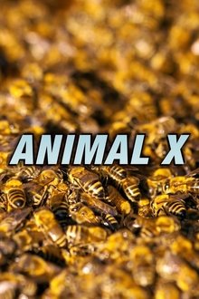 Animal X tv show poster