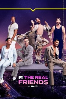 The Real Friends of WeHo tv show poster