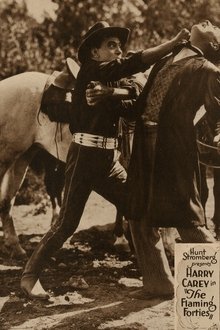 Poster do filme The Flaming Forties