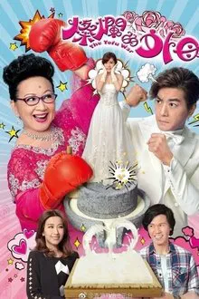 The Tofu War tv show poster