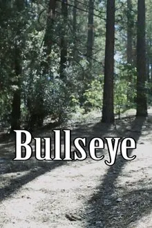 Bullseye movie poster