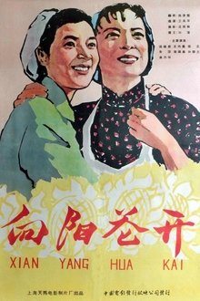 向阳花开 movie poster