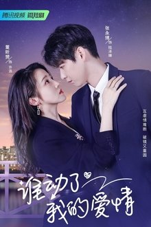 Love Starts After Divorce tv show poster