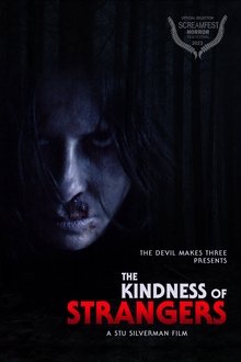 The Kindness of Strangers movie poster
