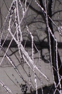 Snow movie poster