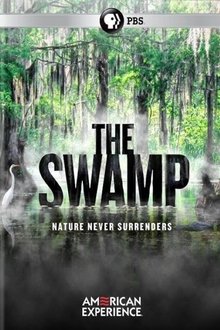 The Swamp movie poster