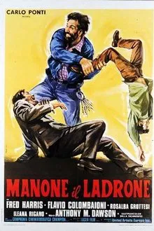 Manone il ladrone movie poster