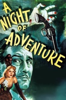 A Night of Adventure movie poster