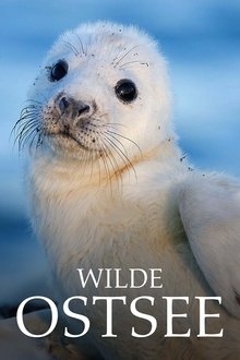 Wilde Ostsee tv show poster