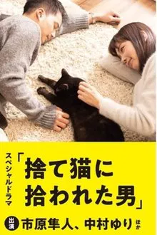 The Man Who Got Picked Up by a Stray Cat movie poster
