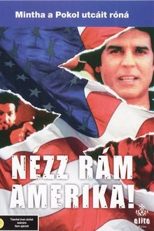 Look at Me, America movie poster
