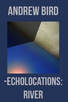 Echolocations: River movie poster
