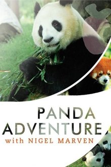 Panda Adventure with Nigel Marven tv show poster