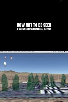 How Not to Be Seen: A Fucking Didactic Educational .MOV File movie poster