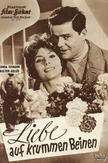 Liebe auf krummen Beinen movie poster