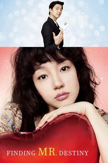 Finding Mr. Destiny movie poster
